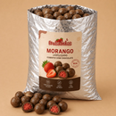 Morango Liofilizado Coberto com Chocolate